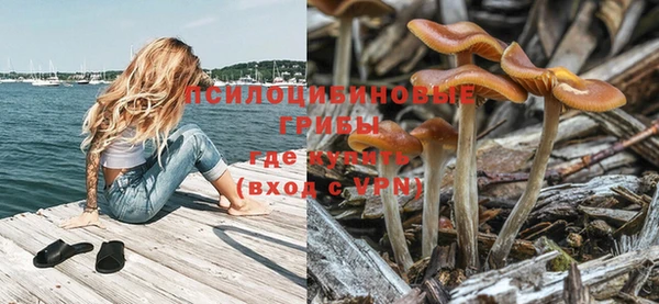спайс Алексин