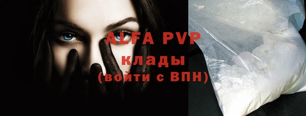 индика Ростов