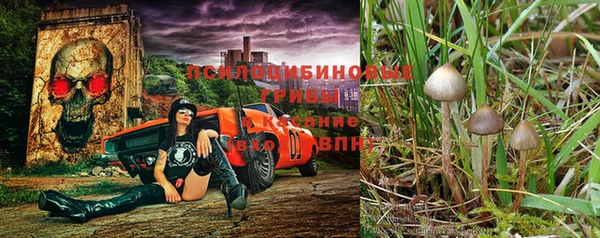 спиды Алзамай