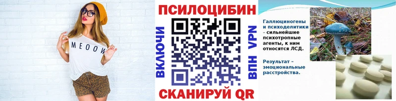 Псилоцибиновые грибы Cubensis  блэк спрут вход  Вытегра  где купить наркоту 